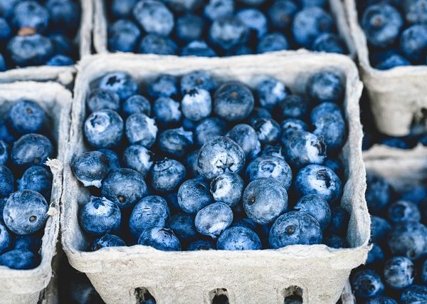 Blueberry Burn: Boost Your Fat-Burning Potential
