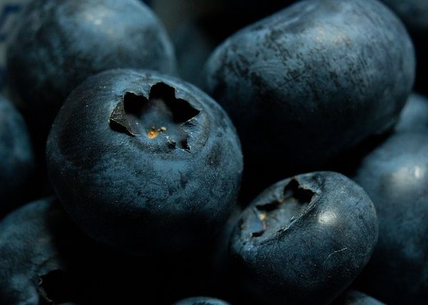 Bilberry: A Blue Marvel for Prostate Health